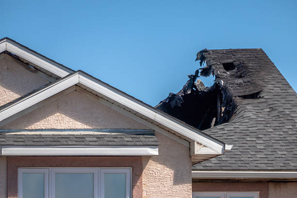 Top rated local Fire Damage Removal specialists in College Park, MD